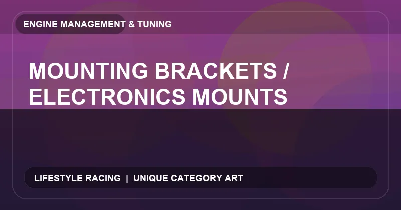 Mounting Brackets / Electronics Mounts